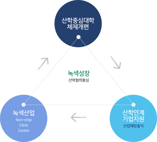 녹색성장 산학협력중심 - 산학중심대학 체제개편, 녹색산업(Non-stop Clinic Center), 산학연계 기업지원(산업체맞춤식)